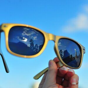Gold Acrylic Frame Sunglasses Genderless 100% UV Protection Temple Silver Seed